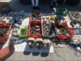 /album/jarni-burza-2026/img-6425-jpg/